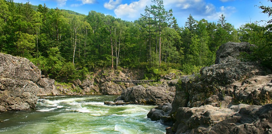 Sed blandit massa vel